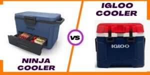 Read more about the article Ninja vs Igloo Cooler: My Real-Life Verdict