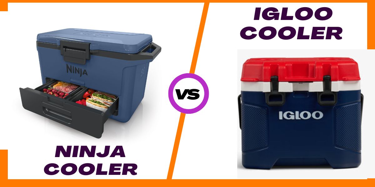 You are currently viewing Ninja vs Igloo Cooler: My Real-Life Verdict
